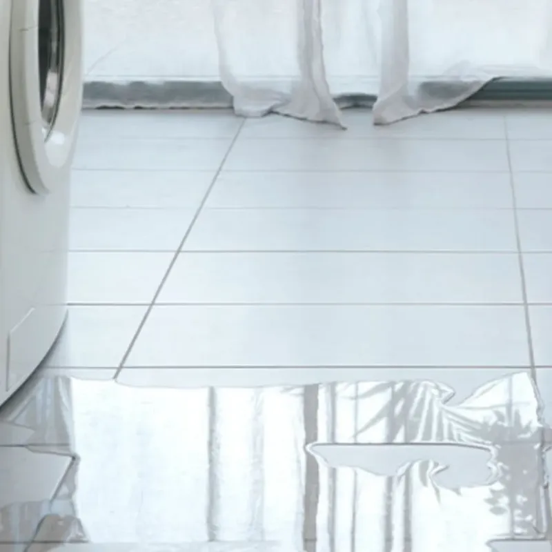 Appliance Leak Cleanup in Enterprise, OR