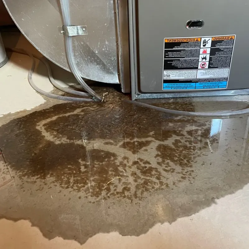 Pipe Burst and Leak Restoration in Enterprise, OR