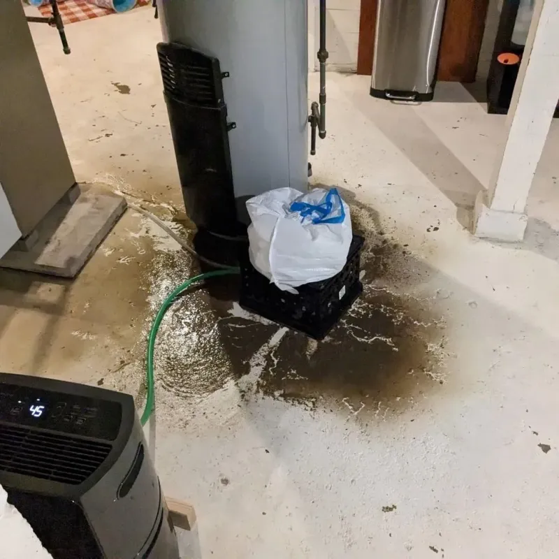 Sewage Backup Cleanup Service in Enterprise, OR